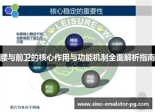 腰与前卫的核心作用与功能机制全面解析指南 腰与前卫的核心作用与功能机制全面解析指南