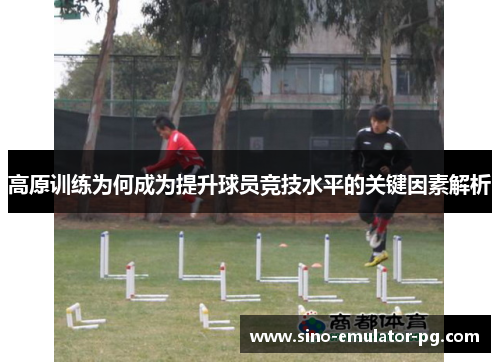 高原训练为何成为提升球员竞技水平的关键因素解析 高原训练为何成为提升球员竞技水平的关键因素解析