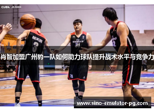 肖智加盟广州豹一队如何助力球队提升战术水平与竞争力 肖智加盟广州豹一队如何助力球队提升战术水平与竞争力