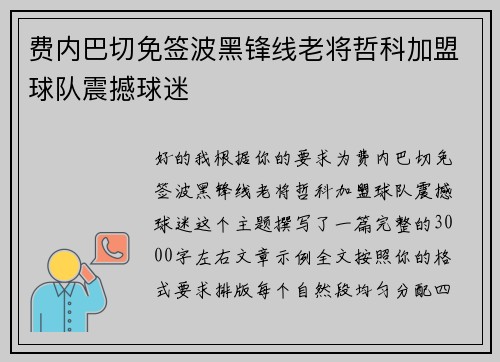 费内巴切免签波黑锋线老将哲科加盟球队震撼球迷