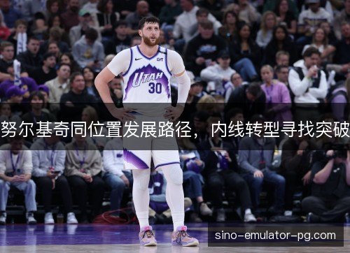 努尔基奇同位置发展路径，内线转型寻找突破